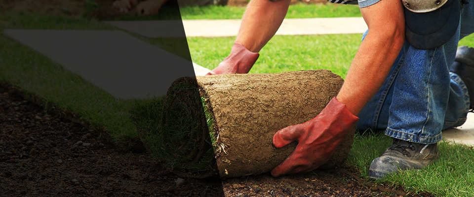 Rockwood Landscapers